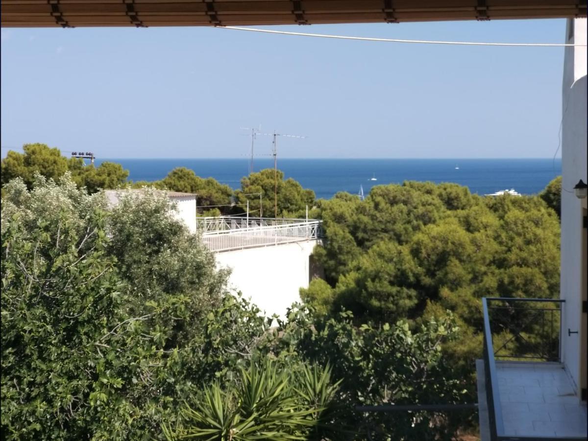 Aelia Houses Agia Marina  Zewnętrze zdjęcie